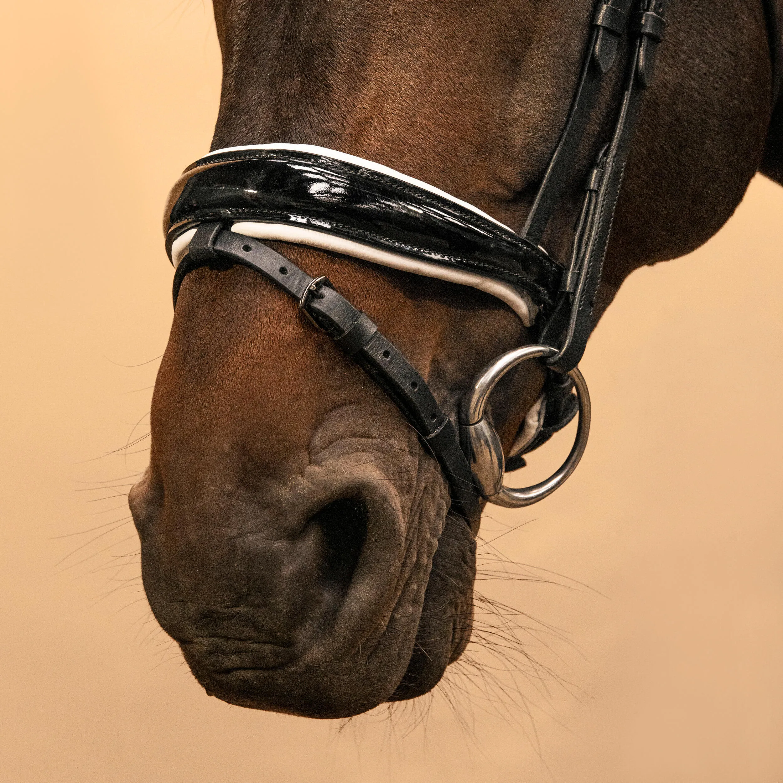 Fouganza bridle, black/white