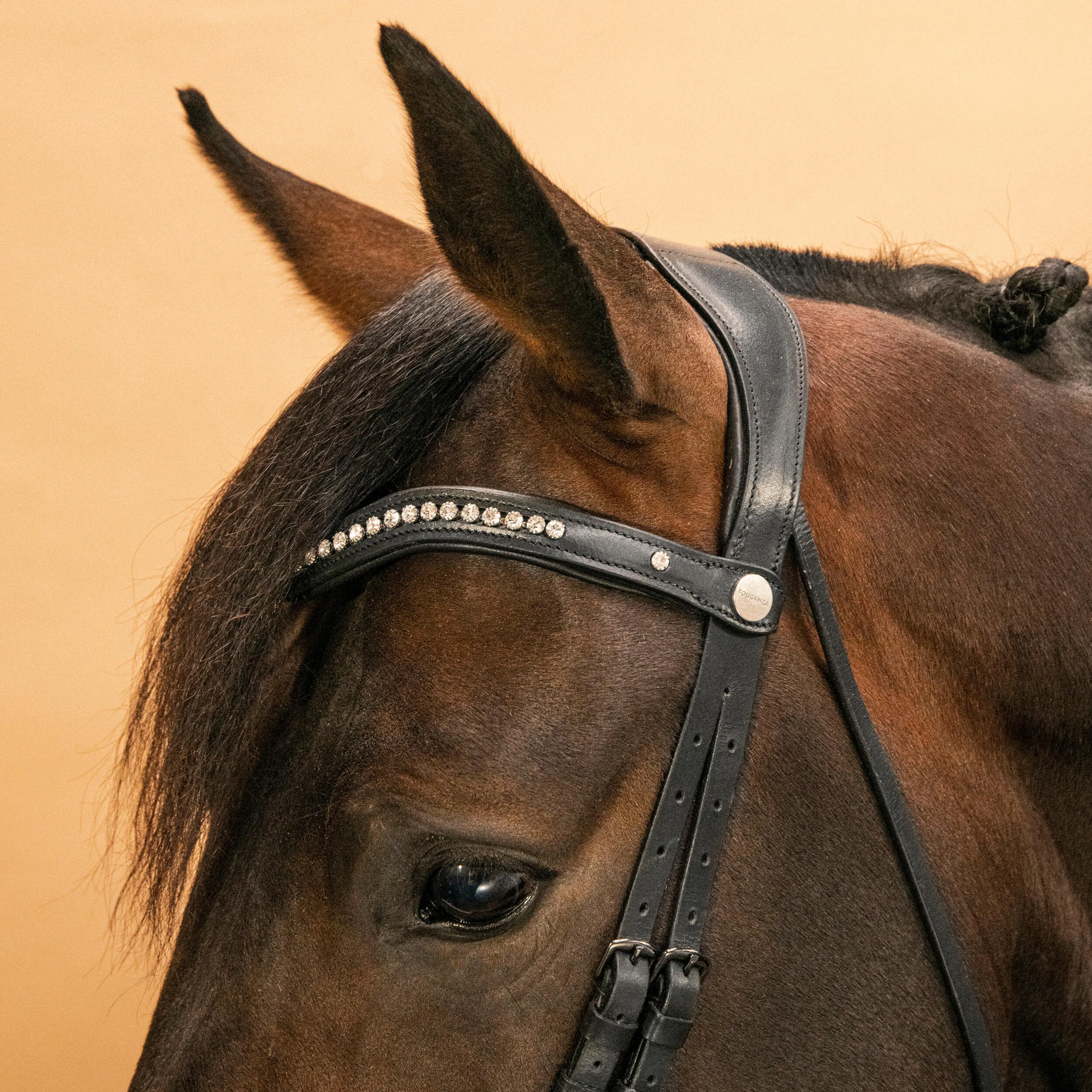 Fouganza bridle, black/white