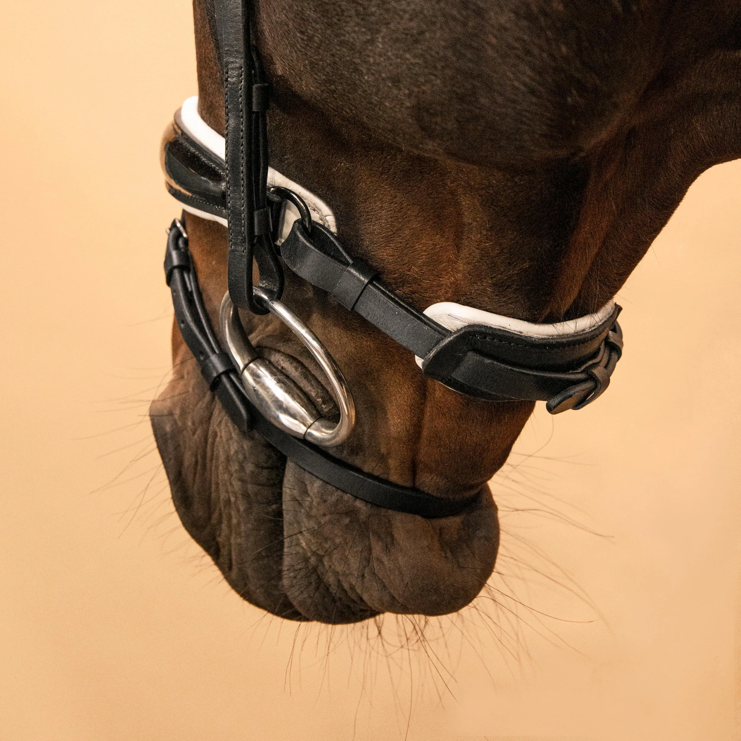 Fouganza bridle, black/white