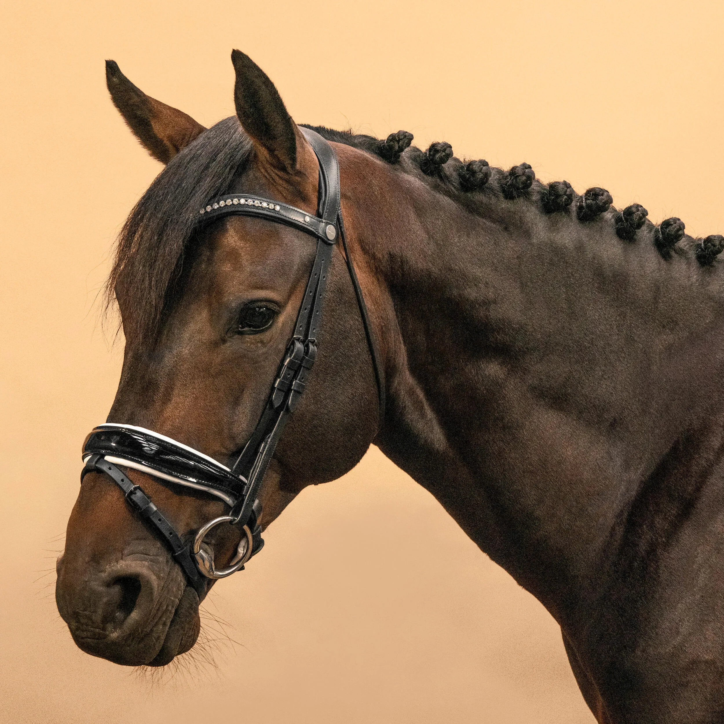 Fouganza bridle, black/white
