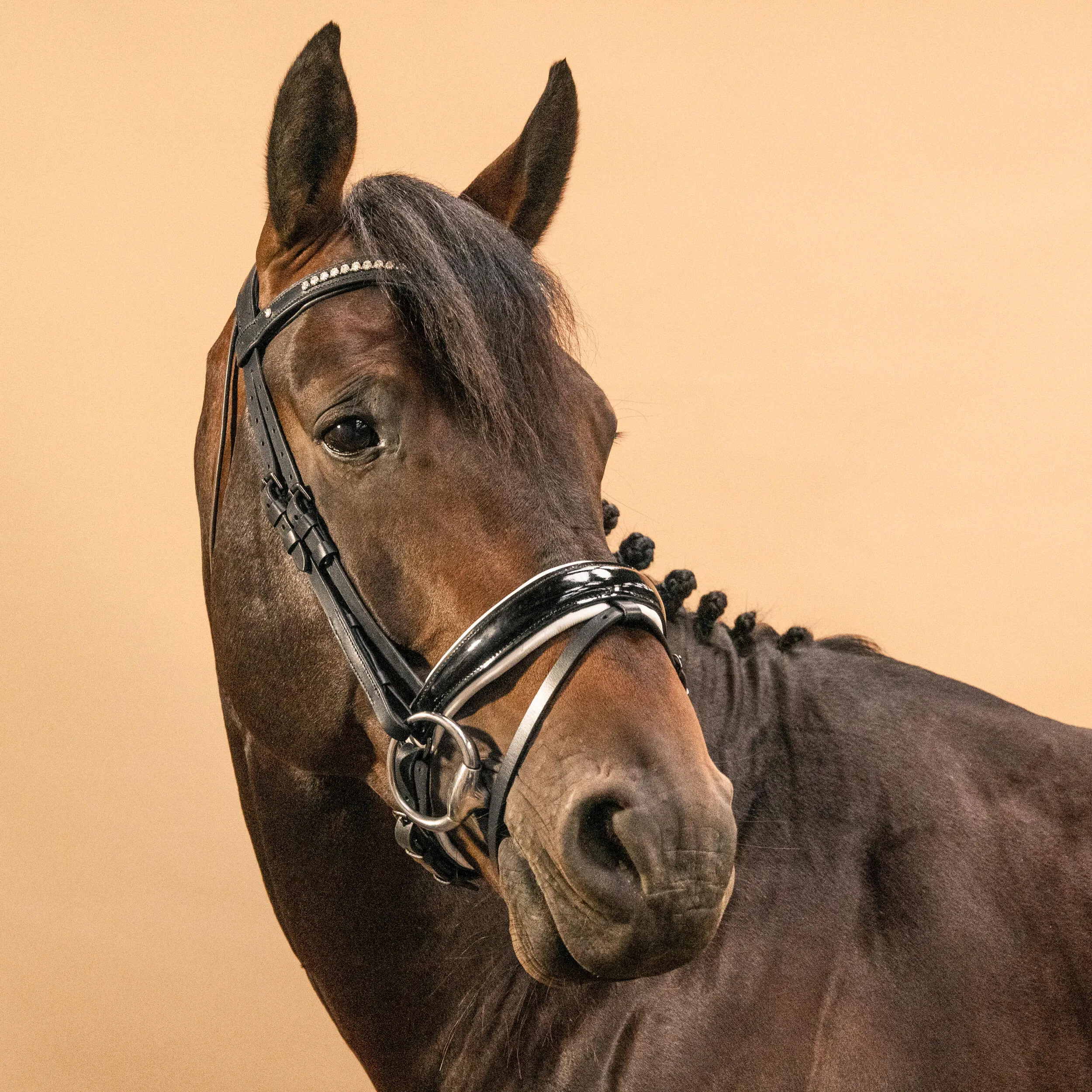 Fouganza bridle, black/white