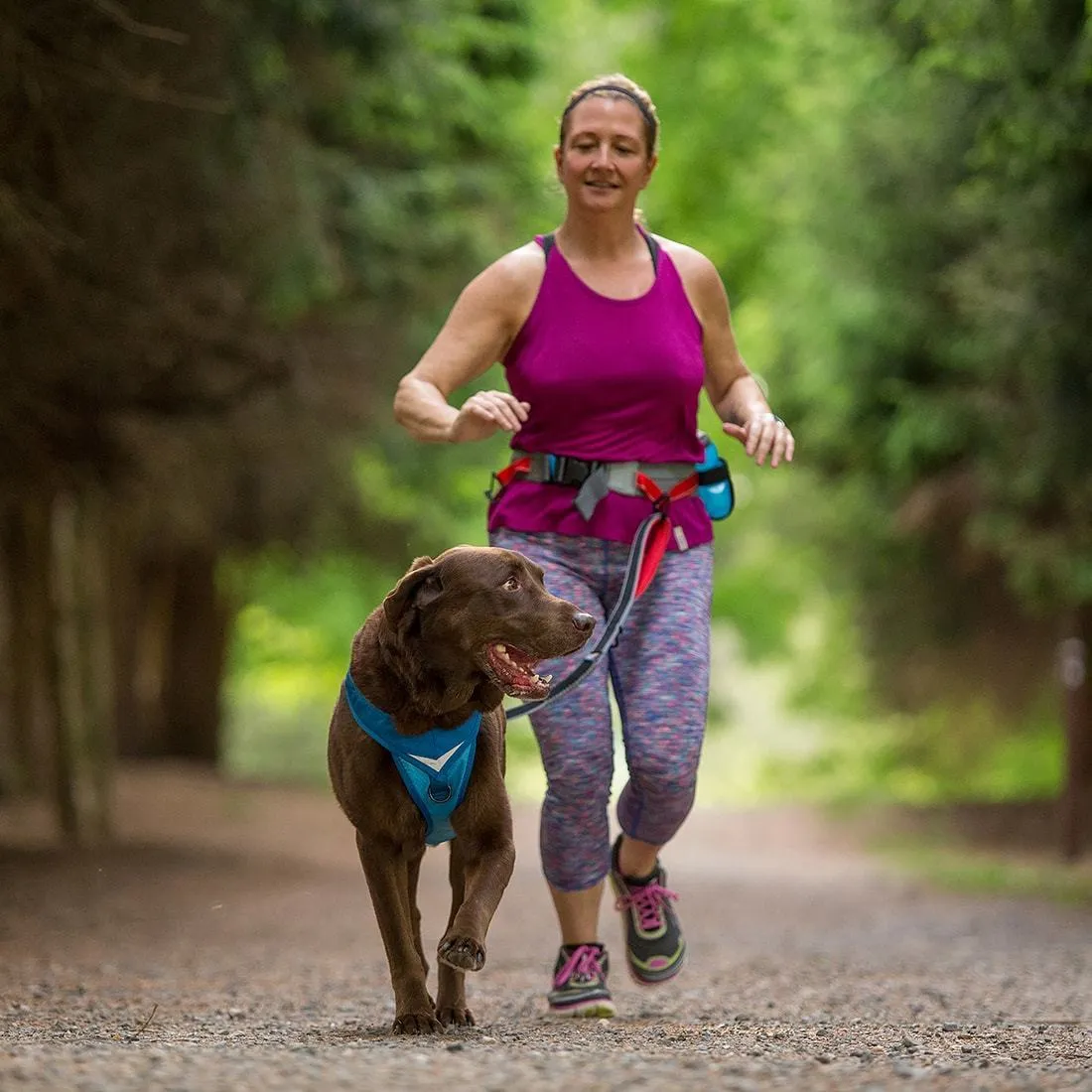 K9 Excursion Running Belt