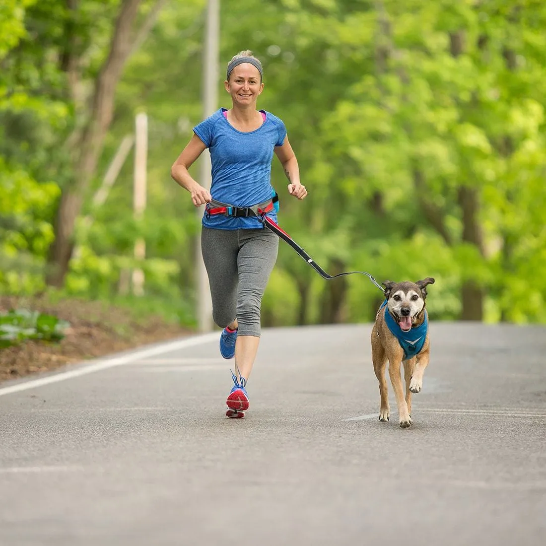 K9 Excursion Running Belt