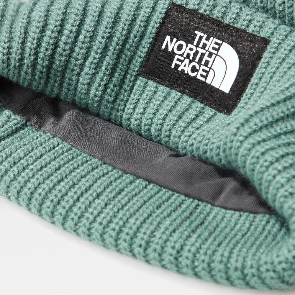 SALTY LINED BEANIE