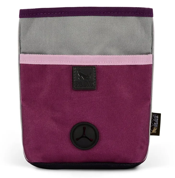Scout & About Deluxe Training Pouch