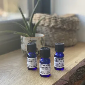 Woody Essential Oil Pack